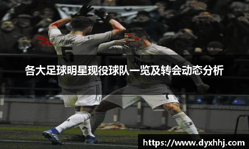 各大足球明星现役球队一览及转会动态分析